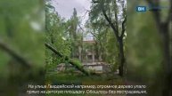 Деревопад из-за сильного ветра показали в Воронеже