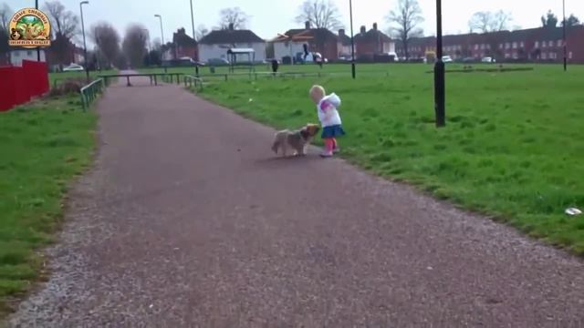 Маленькие дети гуляют с собаками. Подборка [NEW HD]