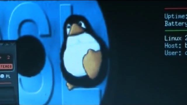 damn small linux on an old laptop
