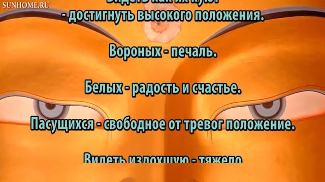 К чему снятся Лошади, толкование сна