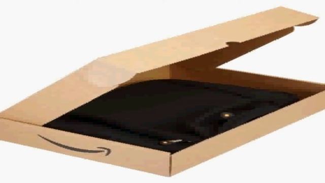 AmazonBasics Netbook Bag with Handle  Fits 7  to 10 Inch Netbooks  iPad  HP Touchpad