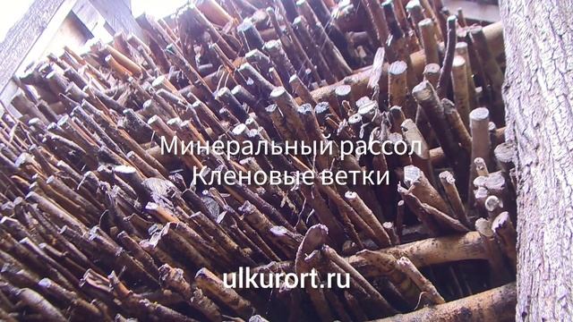 Аквааэрарий Ундоры