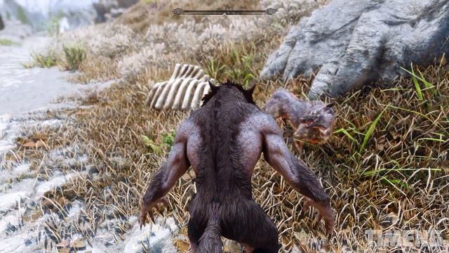 Skyrim ٠ What Happens If You Come To The Wolves As A Werewolf