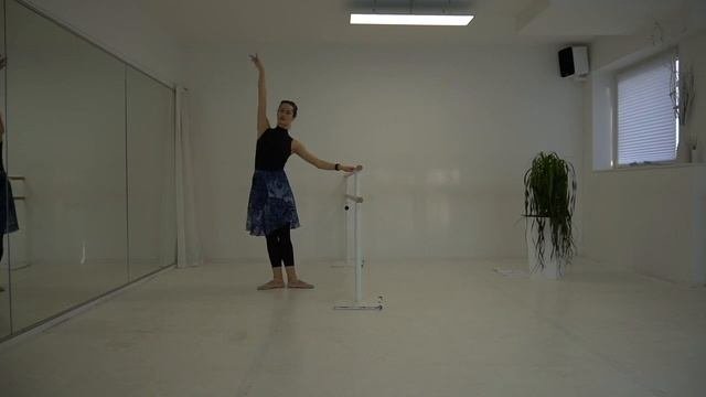 Ballettunterricht online Anfänger/Mittelstufe