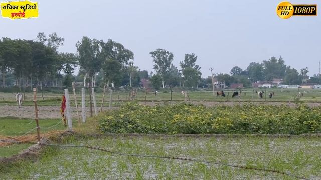 Panasonic AG-UX90  4K Camera Zooming Test  Radhika Studio Hardoi 2021
