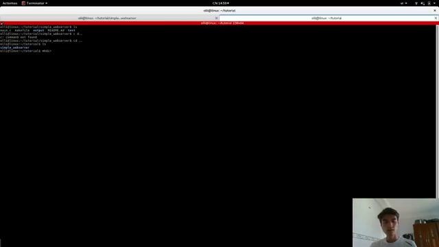 reverse engineering the websocket protocol