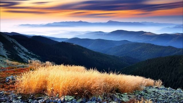 Мужчина-приживалка или история про то, как не кормить избранника и всю его родню