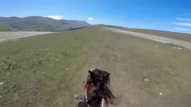 Ахалтекинец 70кмч.Апши 2020