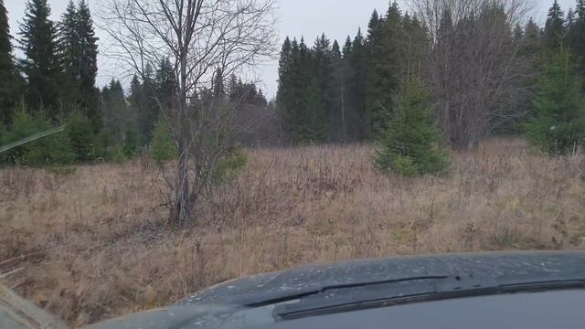 Полная Чухлома 2021. День 1. Нашли то, чего нет на карте! Экспедиция в неизвестность!!