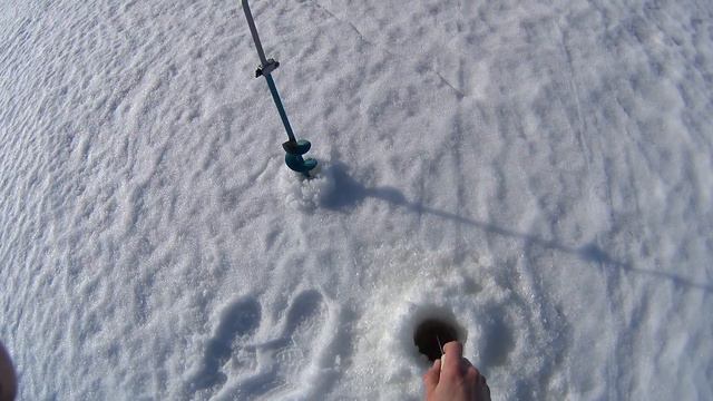 Ловля окуня на Рыбинском водохранилищеPerch fishing on Rybinsk reservoir