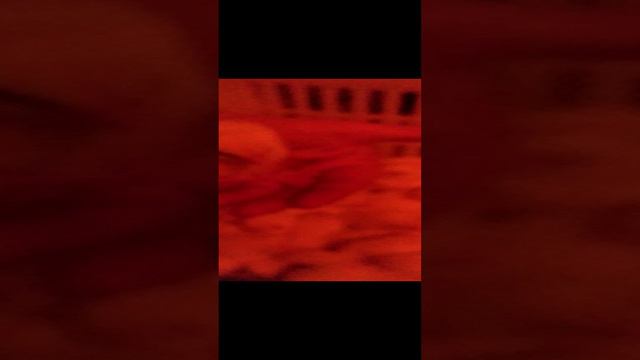 VID_20240405_135220.mp4