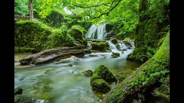 beautiful piano music for the soul without words/ красивая фортепианная музыка для души без слов