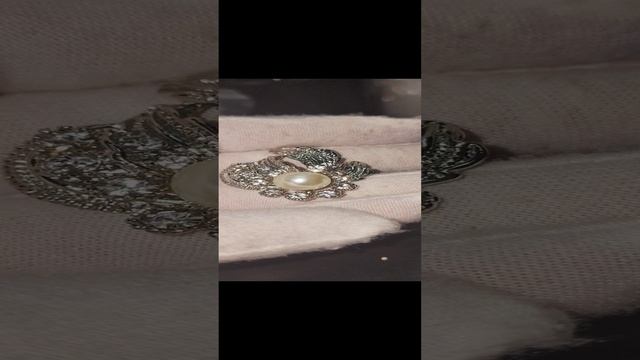 1000011695.mp4