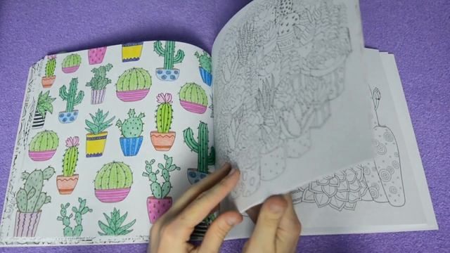 Все мои раскраски