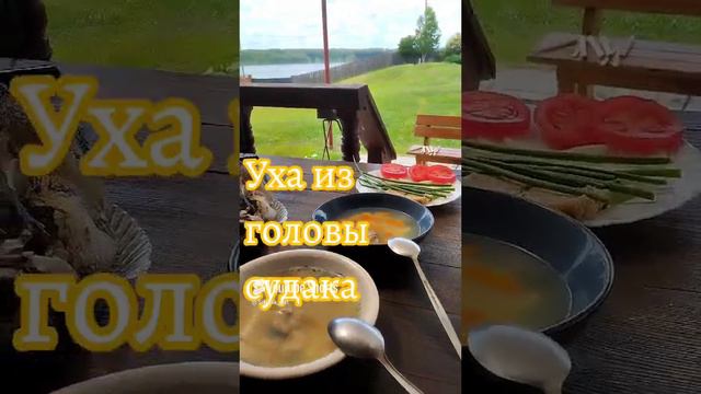 уха из головы судака