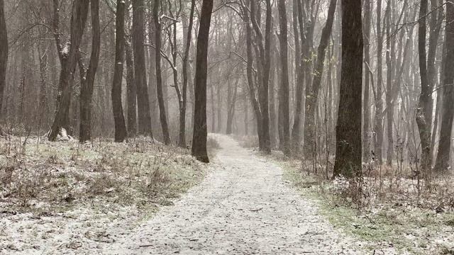 Смотреть видео онлайн