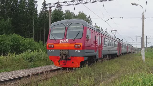 Электропоезд ЭД4М Александров - Поварово (БМО) на станции Бухарово (26.08.2023)