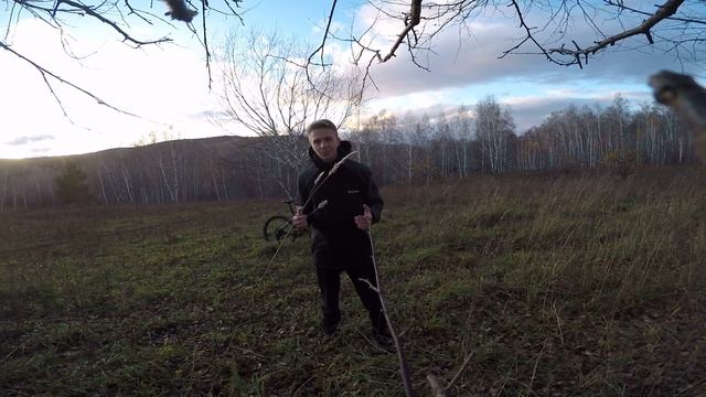 Стихотворение Прощальный взгляд. Валерий Брюсов.