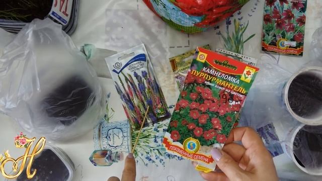 Удачные и неудачные посевы семян цветов.