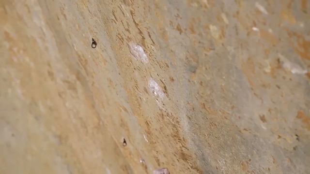 The Top Three Big Wall Climbs of 2015 | Climbing Daily, Ep. 630