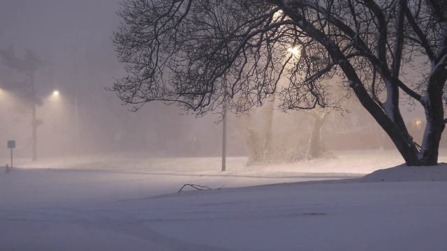 Метельный плен.
Февраль. Достать смартфон и плакать.