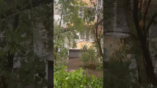 На 70 лет ВЛКСМ, 11 рухнуло дерево