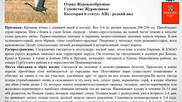 Красная книга ХМАО