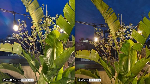 IPhone 15 Pro Max Versus OnePlus 11 Camera Comparison