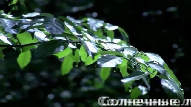 Лечебный матрас Тяньши tiens health mattress Матрас TIENS