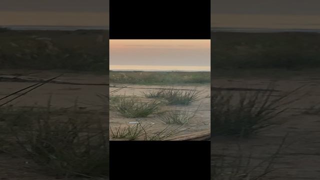 Отдыхаю на море ??