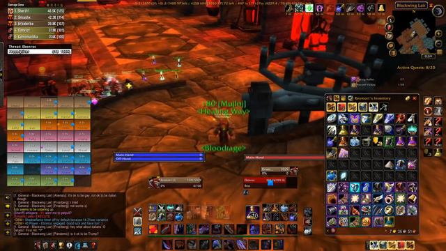 We Finally Cleared BWL! | Wow Classic