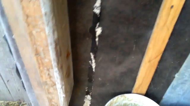 Моё домашнее хозяйство