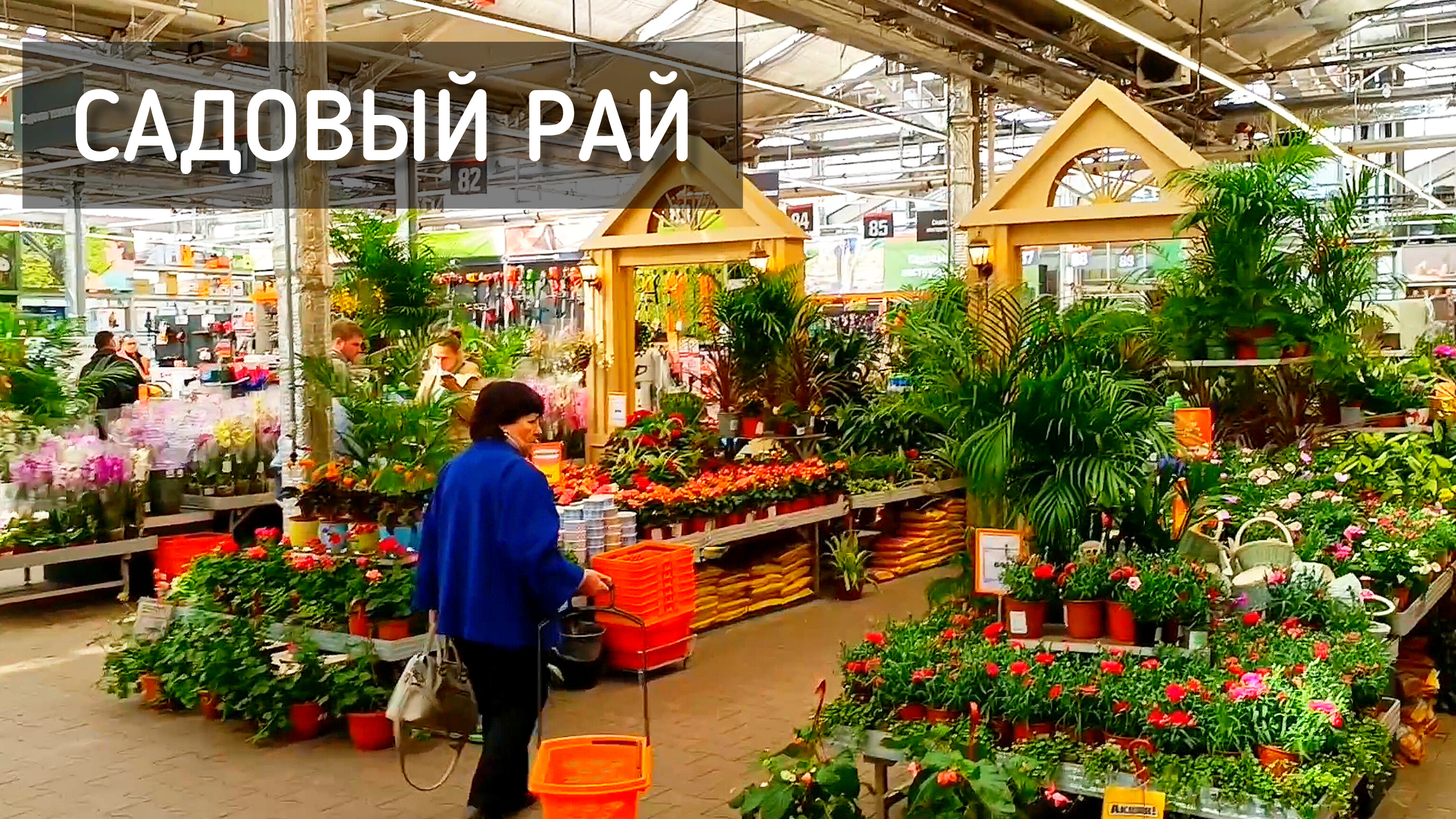 Садовый рай. Дачный сезон. OBI в Мега Белая Дача / Summer season. Garden paradise #москва #сад #дача