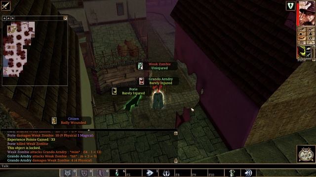 Neverwinter Nights EE Very difficult solo hc permadeath shifter - part 1 First couple levels