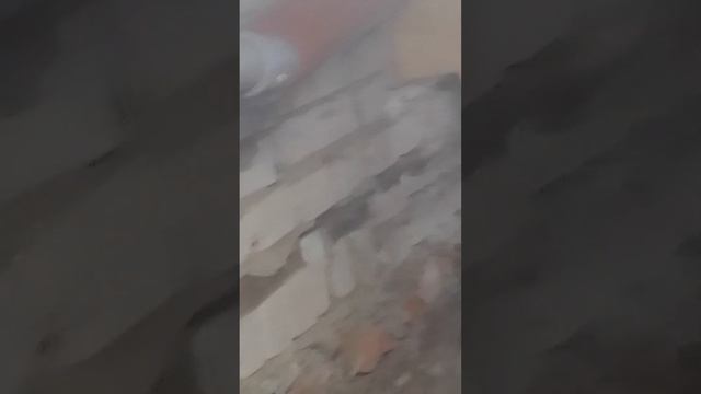 Я на даче! часть 3 koнец