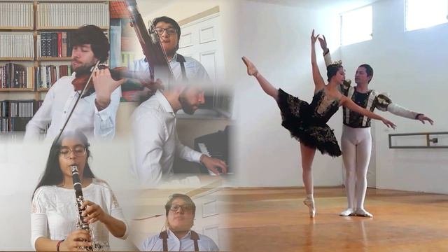 Solo Del Cisne Negro De Lago De Los Cisnes. Swan Lake - Black Swan Solo. Música Y Danza. Tchaikovsk