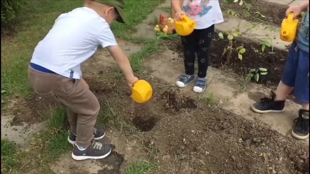 Огород в детском саду