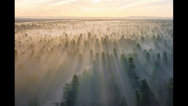 МУЗЫКА ДЛЯ МЕДИТАЦИИ ИНДИЙСКОЙ ФЛЕЙТЫ _ Музыка позитивной энергии _ Музыка для йоги