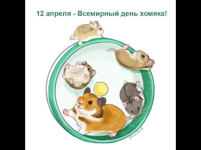 Хомячий рай (2020)