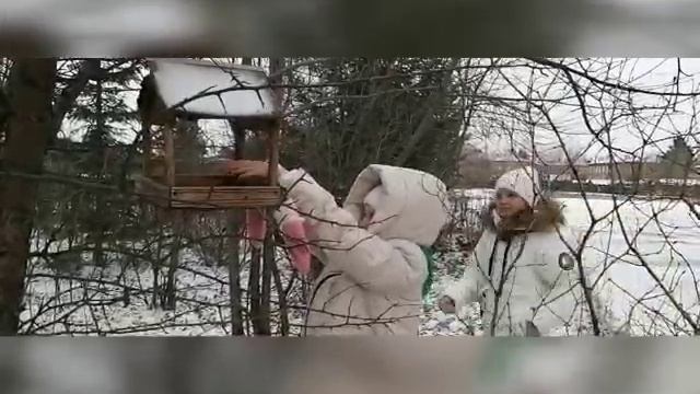 Синичкин день