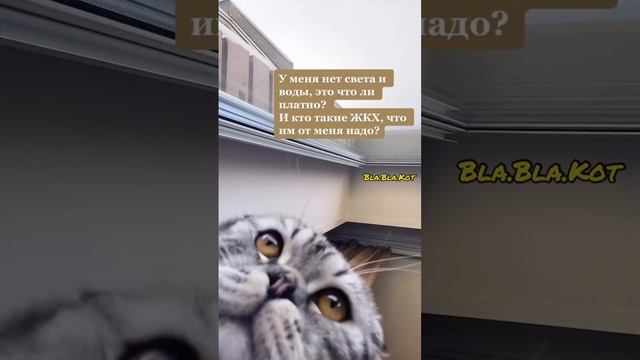 когда съехал от родителей