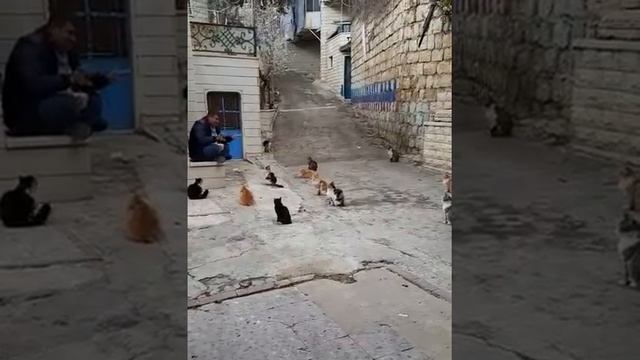 Хорошо, когда есть кому выслушать твоё нытьё о тяготах жизни