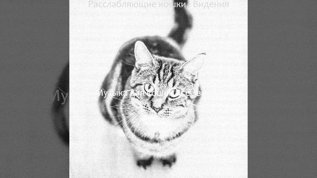 Музыка (Кошки)