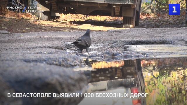 В Севастополе выявили 1 000 бесхозных дорог