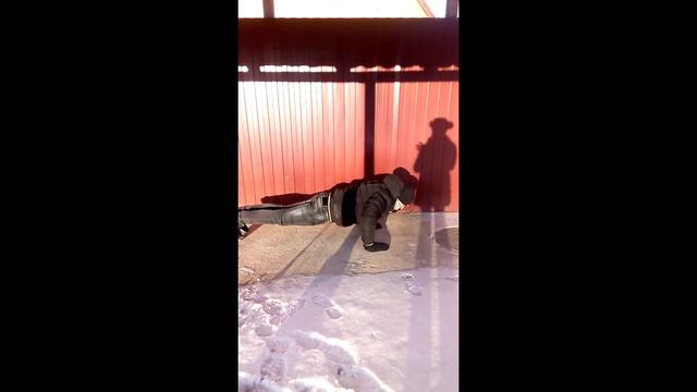 мои виды отжимание