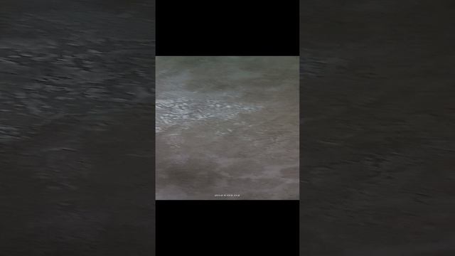 VID20230302085748.mp4