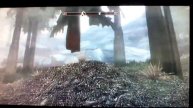 Skyrim (PS3) mesh/texture bug.