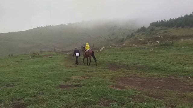 Верховая езда. Северная Осетия. Алания. Владикавказ