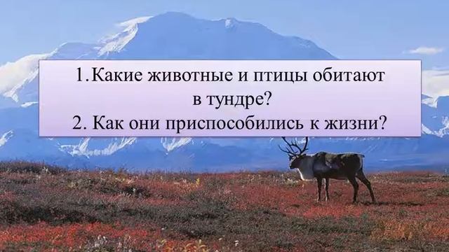 Тундра