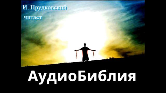 3 глава Евангелие от Иоанна. МСЦ ЕХБ. Читает Илья Прудковскмй.